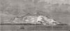 AUSTRALIA.The Rescue of a castaway, crew from Heard Island, near Kerguelen 1883