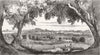 TUNISIA. View of Tunis 1880 old antique vintage print picture