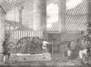 FARMING. Brazilian Sugar-Mill 1854 old antique vintage print picture