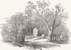 PACIFIC OCEAN. The Grave of John Adams, Pitcairn's Island 1852 old print