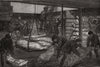 Landing Australian frozen meat from Sydney, West India Dock, Millwall 1881