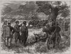The Austrian army in Bosnia: General Philippovich questioning prisoners 1878