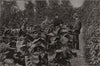 Tobacco growing in Kent. A field of tobacco plants, Sharsted Court, Kent 1886