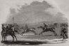 Newmarket in the olden time. Suffolk 1845 antique vintage print picture