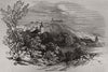 Palace of Molsdorf. Thuringia 1845 old antique vintage print picture