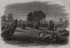 Druidical circles at Stanton Drew, near Bath. Somerset 1864 old antique print