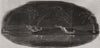 Illumination of the Rhine, from Stolzenfels. Germany 1845 old antique print