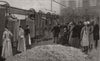 Queen Victoria at Grasse. M. Chiris explains perfume distilling process 1891