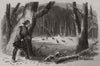 Sporting scenes in Canada. Wild Turkey shooting. Canada 1858 old antique print