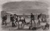 Sawing and ploughing the ice on the St. Lawrence. Canada 1859 old print