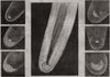 Donati's Comet from Cambridge & Slater's observatories 1858 old antique print