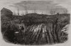 Nova Scotia goldfields. Auriferous quartz formation Laidlaw's Farm. Canada 1862