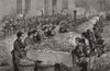 The perfumery manufacture at Grasse: sorting roses. Alpes-Maritimes 1891 print