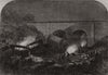 Accident at New Mills, Peak Forest Line of the Midland Railway. Derbyshire 1867