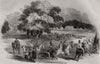 Gorhambury Races - from a sketch in the park. Hertfordshire 1844 old print