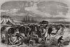 On the sands at Schevening, Holland. Netherlands 1868 old antique print