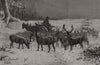 Feeding the deer in Richmond Park during the snow. London 1887 old print