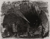 Skating in the Regent's Canal Tunnel. Regent's Park. London 1855 old print