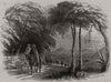 Mexico. American indemnity on its way to Veracruz 1846 old antique print