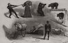 Christmas circus at Covent-Garden Theatre. London. Bears lions horses 1890