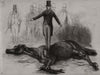 Mr. Rarey, the horse-tamer, operating upon cruiser. Horses 1858 old print