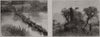 Crossing a Transvaal river; an ant-hill in the Transvaal. South Africa 1896