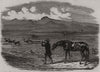 Springbok hunting in South Africa 1856 old antique vintage print picture