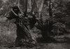 Dedication of Burnham Beeches to the public: The elder brethren 1883 old print