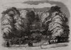 Ascot Races: The Road To the races - The Long Walk, Windsor. Berkshire 1846