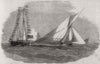 Royal Harwich Regatta - 