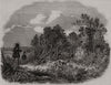 Pheasant shooting. Kent 1850 old antique vintage print picture