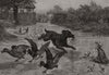 A Sad Dog's Day: Wicked sport. Dogs 1887 old antique vintage print picture