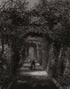 Dr. Henry Bennet's garden, near Menton. Alpes-Maritimes 1882 old antique print