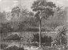 GHANA. River Pra & forest of Assin 1873 old antique vintage print picture
