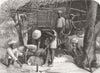 INDIA. Shoeing Bullock, India 1864 old antique vintage print picture