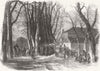 MIDDX. Militia inspection, Well Walk, Hampstead 1855 old antique print picture