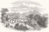 DURHAM. Horticultural fete, park of Bishop Auckland 1853 old antique print