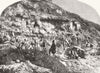 DORSET. geological discoveries at Swanage, Dorset 1857 old antique print