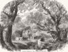 BOTANICAL. Farewell to the Woodlands 1856 old antique vintage print picture