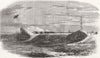 ESSEX. Testing heavy guns at Shoeburyness 1862 old antique print picture