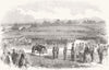 HANTS. Medals for 80th Staffs Regt, Southsea Common 1855 old antique print