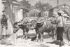 CHINA. A Chinese Buffalo Cart 1872 old antique vintage print picture