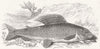 FISH. Angling notes for month-Grayling 1846 old antique vintage print picture