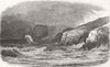 IRELAND. Ireland's Eye, Dublin Bay 1852 old antique vintage print picture