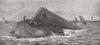 DORSET. Channel collision. blowing up ship, Weymouth 1877 old antique print
