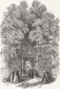 CAMBS. Trinity College, Cambridge, Gdns, Queen 1847 old antique print picture