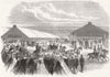 DEVON. Royals, Agricultural Show, Plymouth 1865 old antique print picture