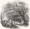 HANTS. Stoney Cross-Rufus's Stone 1848 old antique vintage print picture
