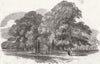 HANTS. grave of charger Copenhagen, Stratfield Saye 1853 old antique print