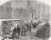 LONDON. Chrysanthemums, Inner temple garden 1854 old antique print picture